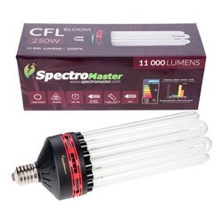 Spectromaster CFL 250W - 8U - 2100°K BLOOM